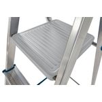 3 Tread Stepladder + High Handrail
