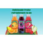 Robinsons Rtd Rasp/Apple 500Ml Pk24