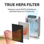 Fellowes Aeramax Dx95 True Hepa Fltr