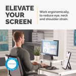 Fellowes Std Monitor Stand Platinum