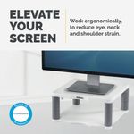 Fellowes Prem Monitor Stand + Coph