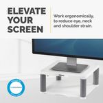 Fellowes Prem Monitor Stand Platinum