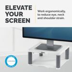 Fellowes Prem Monitor Stand Platinum