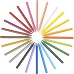 Bic Plastidecor Crayons Ast Pk24
