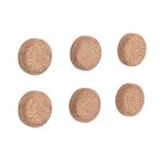 Earth Cork Magnets Pk6