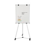 Earth Kyoto Mobile Magnetic Easel