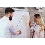 Easy Magnetic Tripod Easel Alm A1