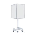 4 Sided Information Brd Magn 650X910