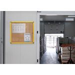 Ultrabrite Cork Display Case 9Xa4