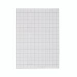 Flipchart Pad Grd 30 Sh A1 Pk5