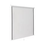 Wall Projection Screen 244X244