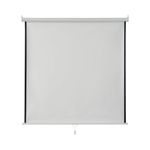 Wall Projection Screen 244X244