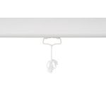 Wall Projection Screen 150X150