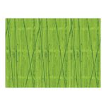 Bordette Poster Paper Rolls Ast Pk24