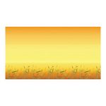 Bordette Poster Paper Rolls Ast Pk24