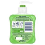 Carex Aloe 250Ml Pack Of 6
