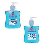 Certex 250Ml Antibac Hand Wash Pk2