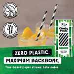 Bamboo Paper Straw Blk Stripes Pk250