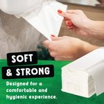 Z-Fold 2Ply Hand Towel 200/Pack Pk15