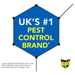Raid Flying Insect Killer 300Ml Pk6