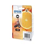 Epson 33 Ink Cartridge Photo Black