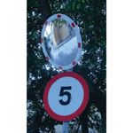 Reflective Circular Mirror 800Mm Dia
