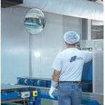 Detective-X Observation Mirror 300Mm
