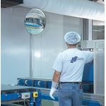 Detective-X Observation Mirror 800Mm