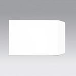 C4 Pkt Env Plsl 100Gsm Wht Pk250