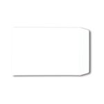 C4 Pkt Env Plsl 100Gsm Wht Pk250