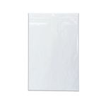 Minigrip Bag 229X324Mm Clear Pk1000