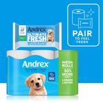Toilet Roll 4X6 Rolls Wht Pk24