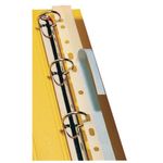 Pelltech File Strips 295Mm A4 Pk100