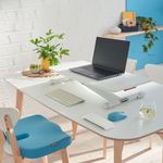 Leitz Ergo Cosy Standing Dsk Convrt