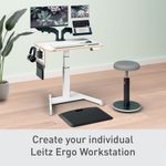 Leitz Ergo Sm Pegbrd Desk Organiser