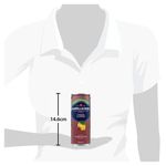 San Pellegrino Ch+Lem 330Ml Can Pk24