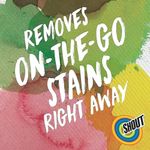 Shout Wipe + Go 12X12 Wipes Pk144