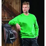 Kite Sweatshirt Unisex Btgrn S