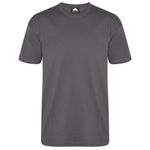 Plover Unisex T-Shirt Graphite 5Xl