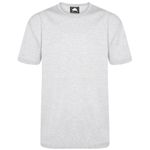 Plover Unisex T-Shirt Ash Xl