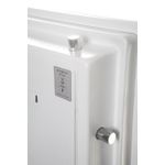 Phoenix Data Combi Safe Size 1