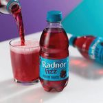 Radnor Fizz Forest Fruits 330Ml Pk24