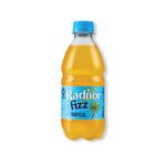 Radnor Fizz Tropical Drink 330Ml P24