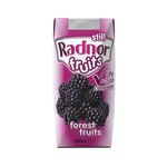 Radnor Forest Fruits 200Ml Pk24