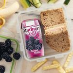 Radnor Forest Fruits 200Ml Pk24