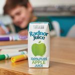 Radnor Pure Apple Juice 125Ml Pk60