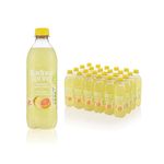 Spkg Wtr P/Apple + Grapefruit Pk24