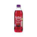 Spkg Wtr Blk Cherry/Blkcurrant Pk24