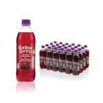 Spkg Wtr Blk Cherry/Blkcurrant Pk24