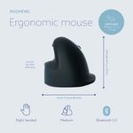 R-Go He Break Mouse Large Right